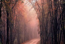 内马尔+维尼修斯巴西队史首次单届世预赛丢2点球.