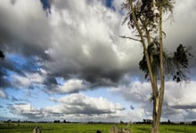 穆里尼奥最爱的球队是切尔西,不想再提的球队是皇马和曼联.