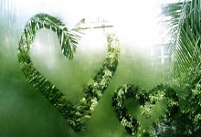 人人体育:杭州第4届亚残运会开幕式:国旗入场,一起传递这抹中国红!央视新闻.